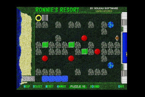 Ronnie's Resort 4