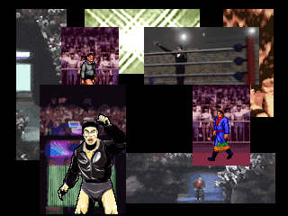 Royal Pro Wrestling: Jikkyō Live!! abandonware