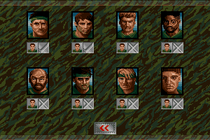 Sabre Team 9