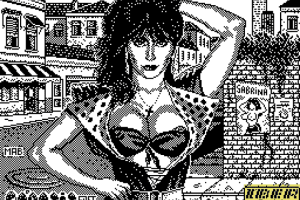 Sabrina abandonware