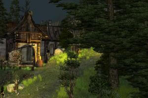 Sacred 2: Gold Edition 13