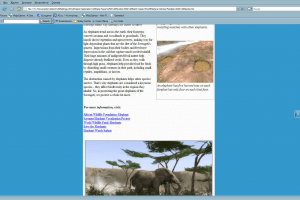 Safari Photo Africa: Wild Earth 9