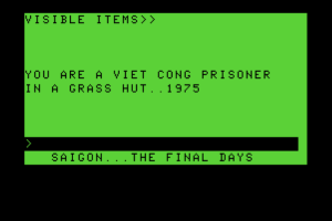 Saigon: The Final Days abandonware