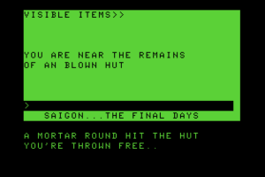 Saigon: The Final Days 2