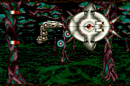 Saint Dragon 9
