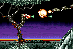 Saint Dragon 3