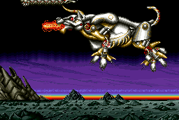 Saint Dragon 5