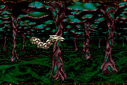 Saint Dragon 6