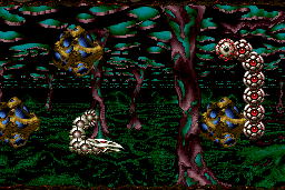 Saint Dragon 7