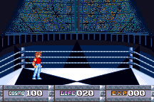 Saint Seiya: Ōgon Densetsu - Perfect Edition abandonware