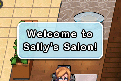 Sally's Salon 4