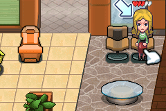 Sally's Salon abandonware