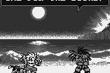 Samurai Shodown!: Pocket Fighting Series 5