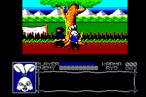 Samurai Warrior: The Battles of.... Usagi Yojimbo abandonware