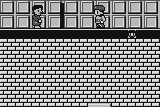 Scaffolder 6