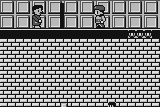 Scaffolder 7
