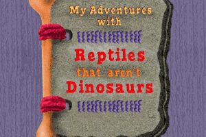 Scholastic's The Magic School Bus Explores in the Age of Dinosaurs 4