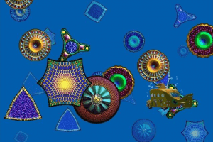 Scholastic's The Magic School Bus Explores the Ocean 9