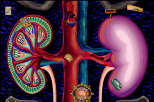 Scholastic's The Magic School Bus Explores the Human Body 15
