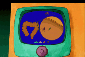 Scholastic's The Magic School Bus Explores the Human Body 19