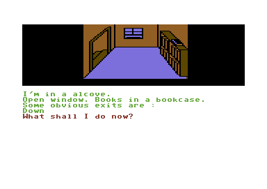 Scott Adams' Graphic Adventure #2: Pirate Adventure abandonware