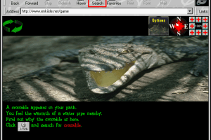 Search for the Black Rhino: Internet Coach 2
