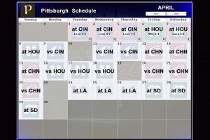 Season Ticket Baseball 6