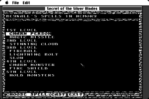 Secret of the Silver Blades 6
