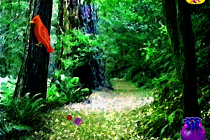 Secret Paths in the Forest 8