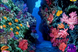 Secret Paths to the Sea 11