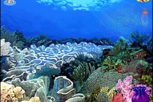 Secret Paths to the Sea 12