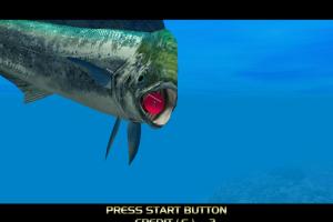 SEGA Marine Fishing 7