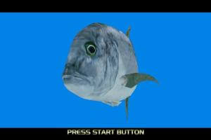 SEGA Marine Fishing 0