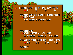 Sega World Tournament Golf 1