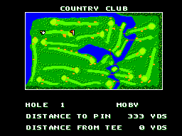 Sega World Tournament Golf 8