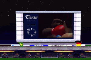 Sega Worldwide Soccer '97 12