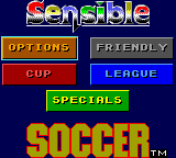 Sensible Soccer: European Champions 1