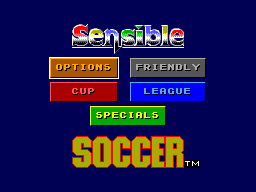 Sensible Soccer: European Champions 1