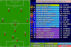 Sensible World of Soccer 6