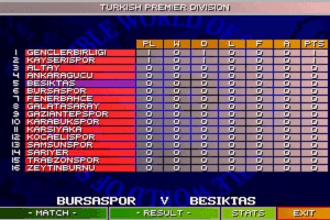 Sensible World of Soccer 8