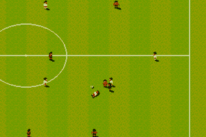 Sensible World of Soccer 13