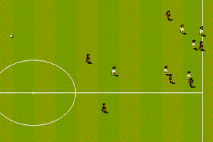 Sensible World of Soccer 14