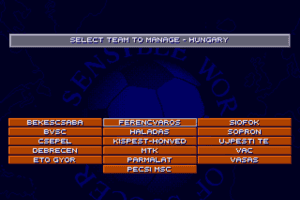 Sensible World of Soccer 4