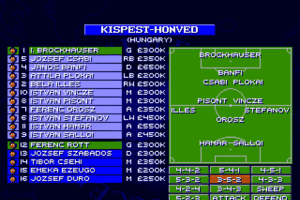 Sensible World of Soccer 8