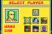 Shado Fighter 2
