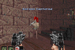 Shadow Warrior 11