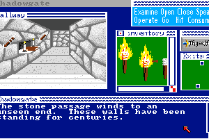 Shadowgate 3