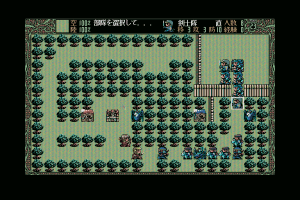 Shangrlia 25