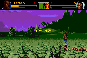 Shaq Fu 8