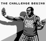 Shaq Fu abandonware